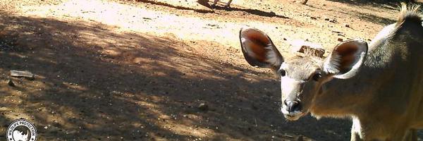 Wpswatch Profile Banner