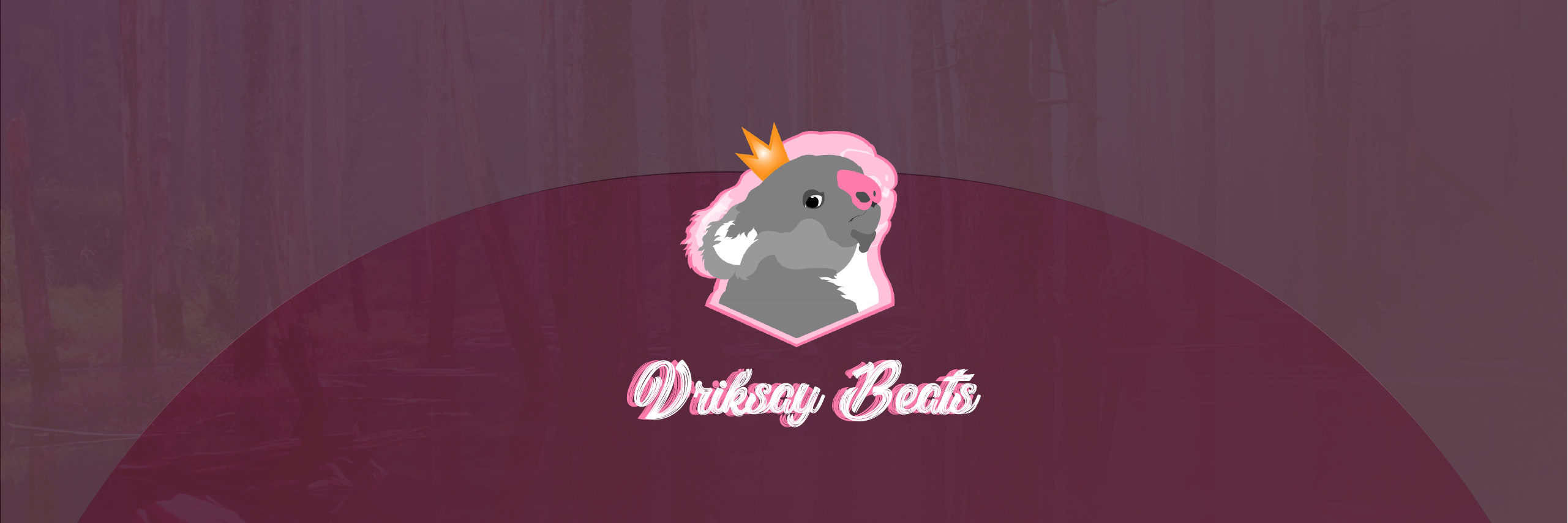 Driksay 🐨 banner