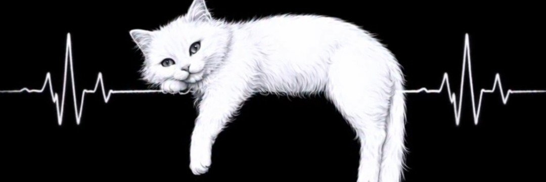 ___Liberated___'s profile banner image