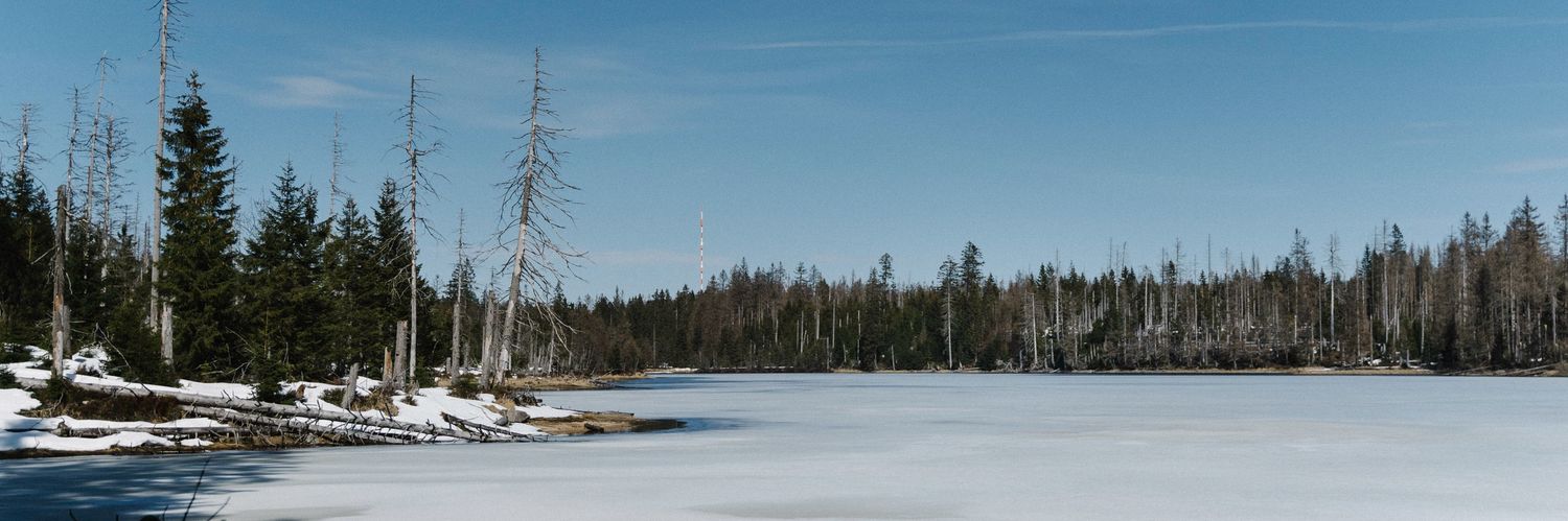 PixelSallo's profile banner image