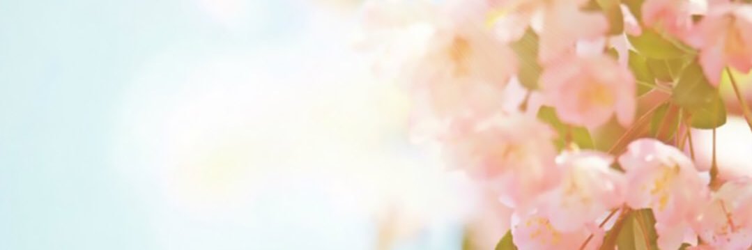 mildwinks's profile banner image
