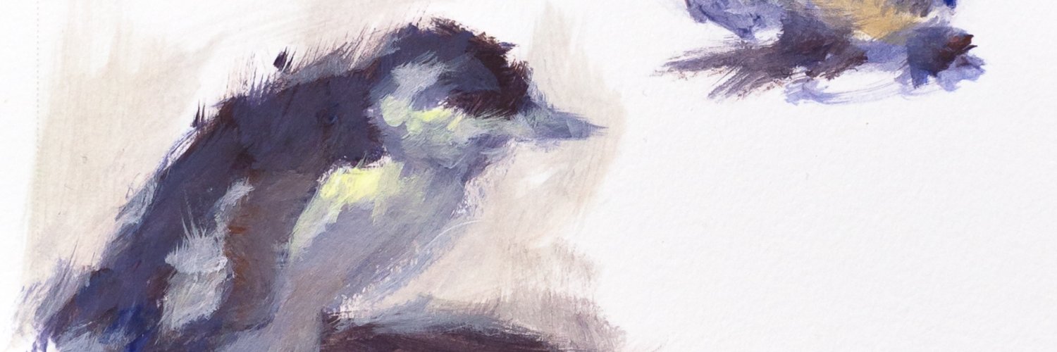 mvashnic's profile banner image