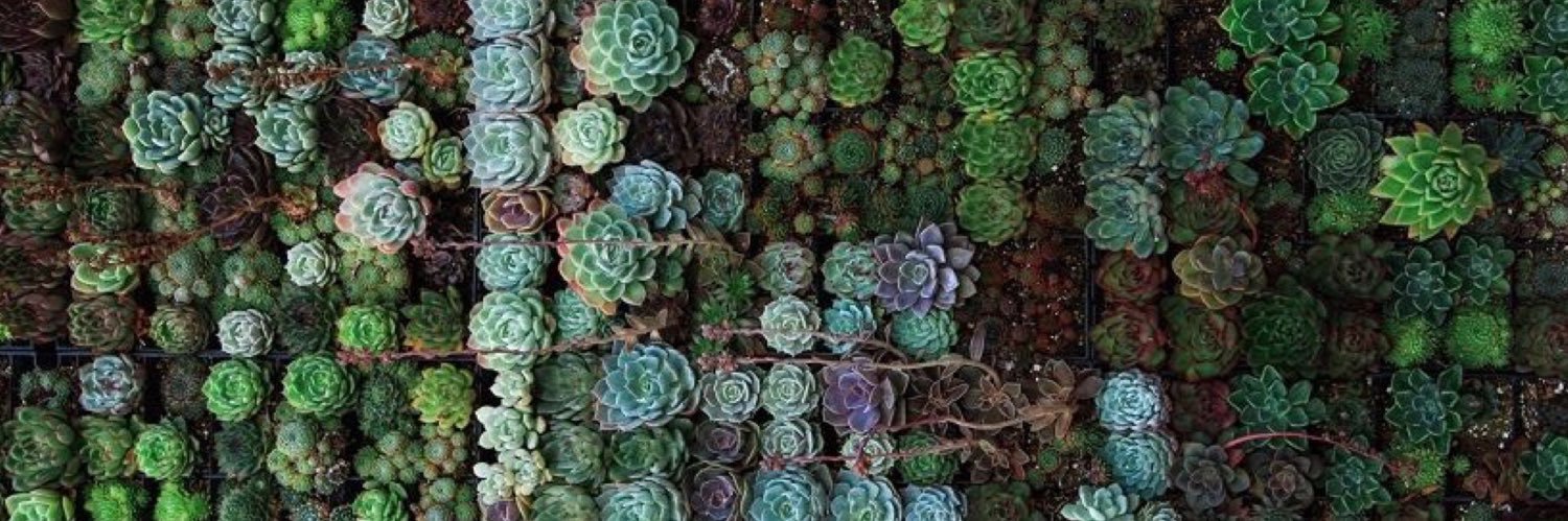 LoganChristena's profile banner image