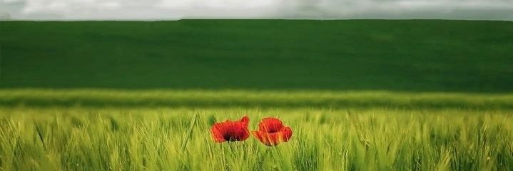 VisitTurkey🇹🇷 banner