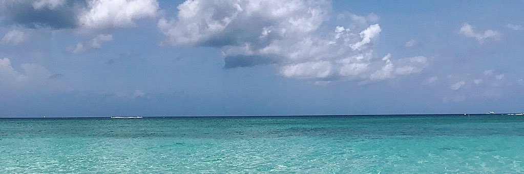 bernabattaglia1's profile banner image