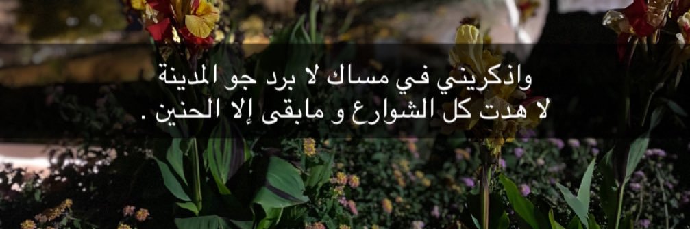 M. Alharbi banner
