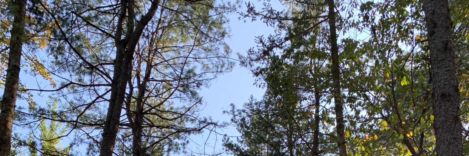 AphraelEmery's profile banner image
