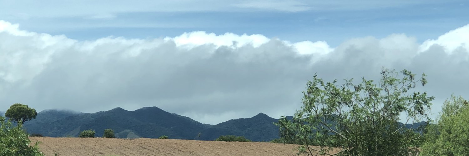 SHOhudson's profile banner image