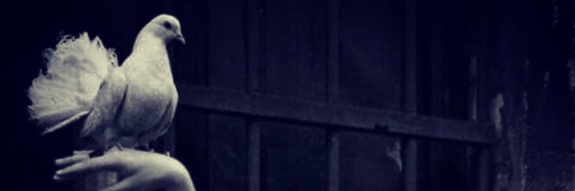 fajr68_'s profile banner image