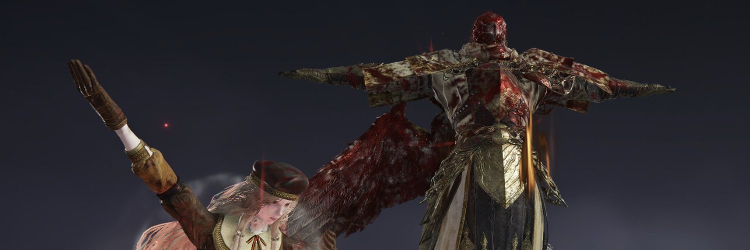 Dark Souls 3 enjoyer banner