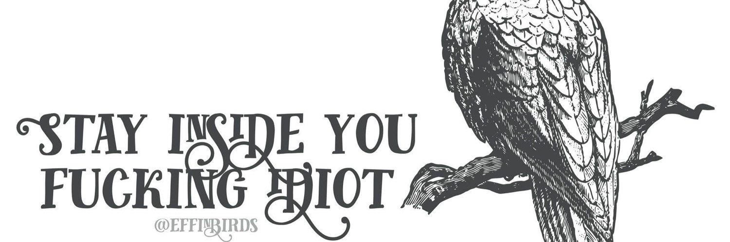 Mindy banner