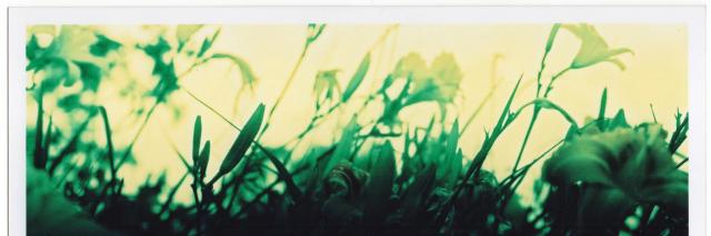 robinwallis's profile banner image