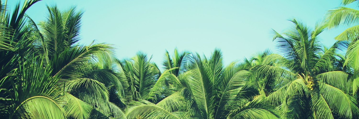 jahmo0's profile banner image