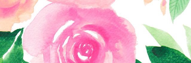amaliarincon's profile banner image