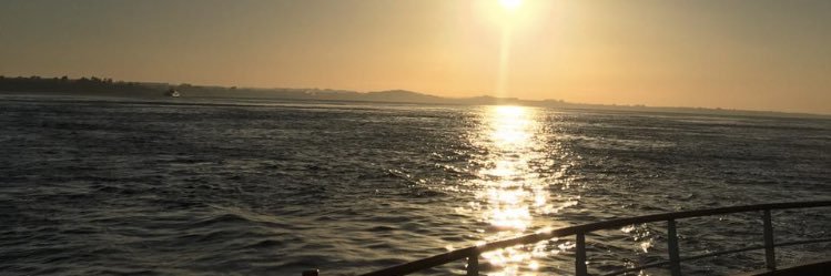 Pelihouse's profile banner image