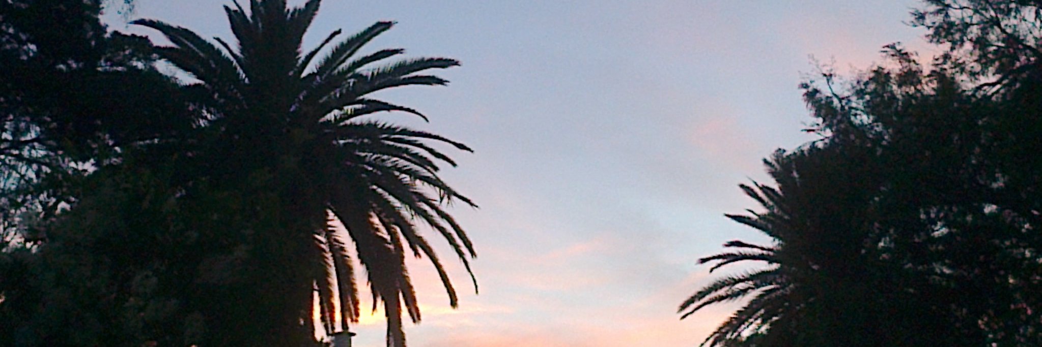 Guada Lemos 🪩 banner