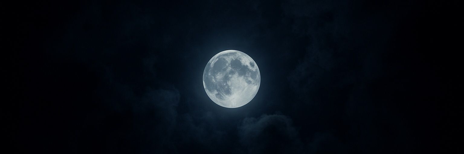 lui_sinem's profile banner image