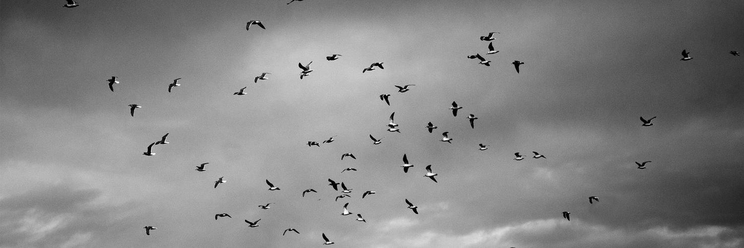 Bryan Barcelona banner