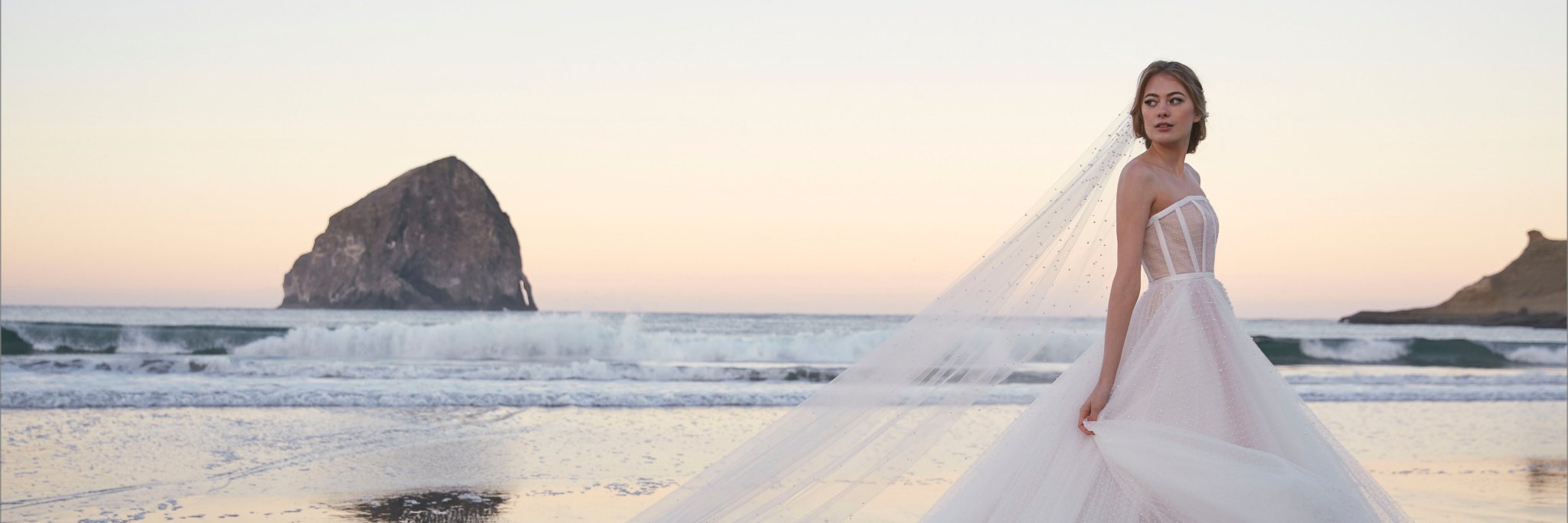 WattersWtoo's profile banner image