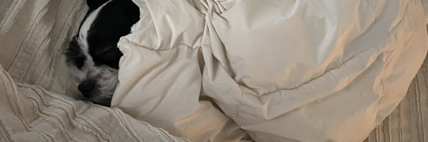 AlexandraEs32's profile banner image
