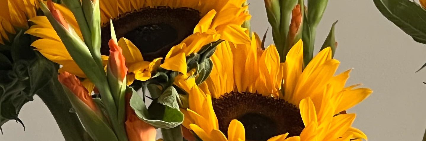 Isatuuuu's profile banner image