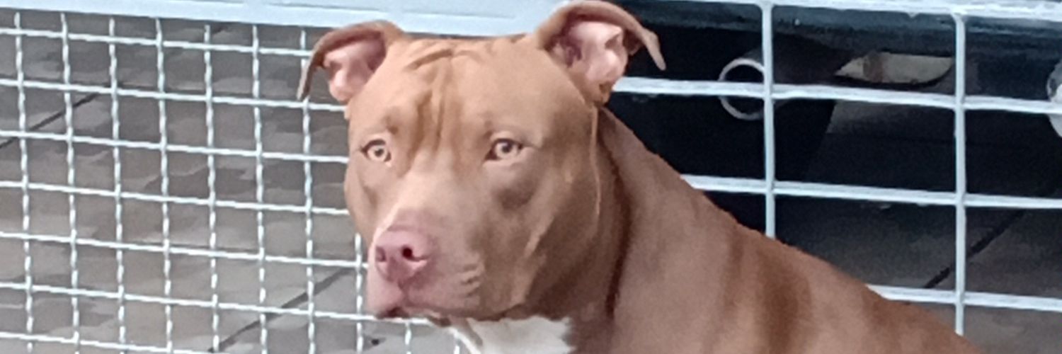 hudson167's profile banner image