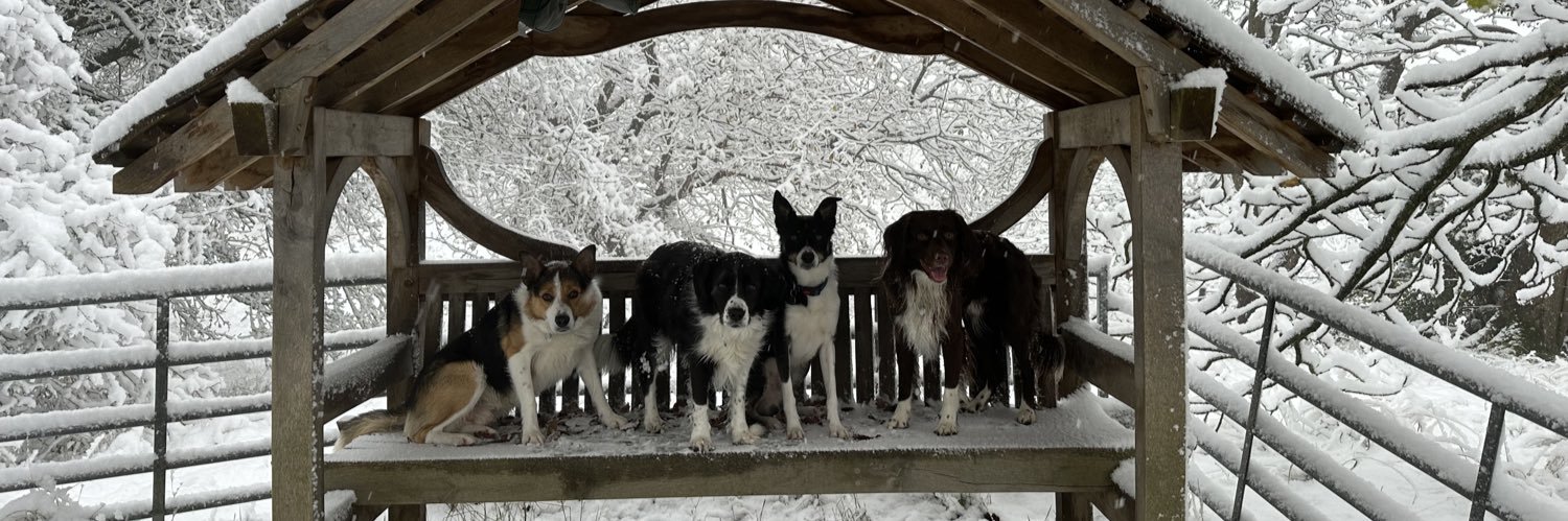 ɢᴀʀᴇᴛʜ 👉🏴󠁧󠁢󠁷󠁬󠁳󠁿🤝💙🚜👈 banner