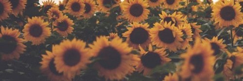 _camposfran's profile banner image
