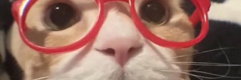 hollanderkook's profile banner image