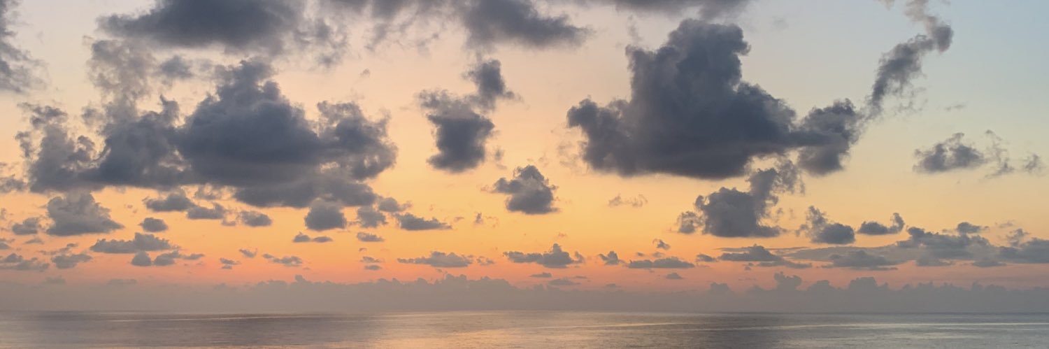 BertelsGigi's profile banner image
