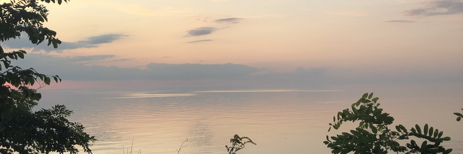 acpolito's profile banner image