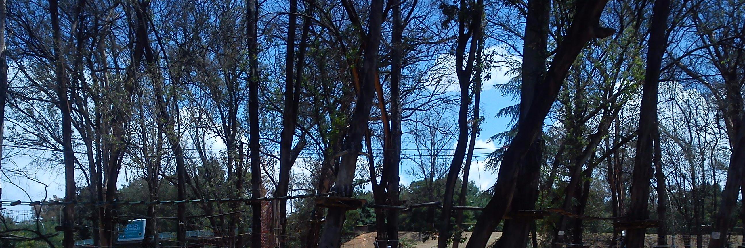 roballen101's profile banner image