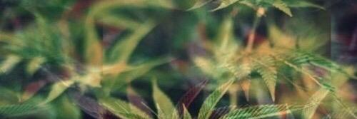 FauxySam's profile banner image