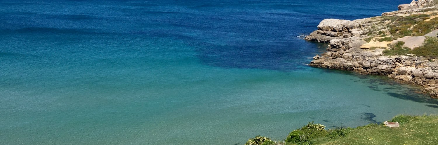 Licenciado Rovere banner