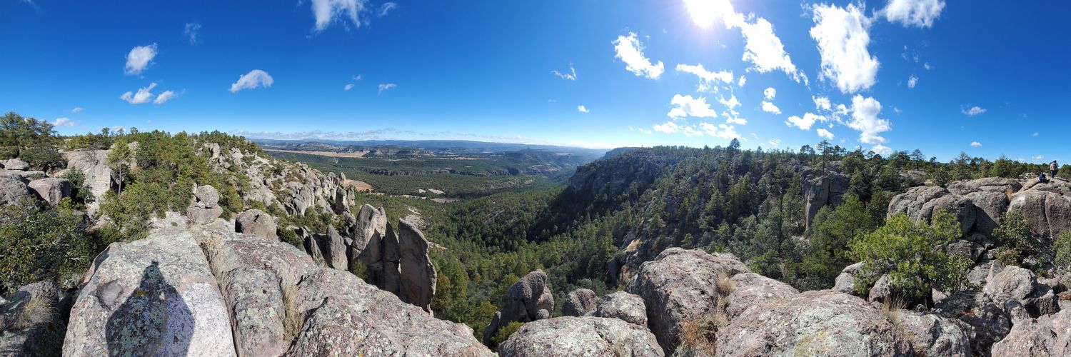 COscar79's profile banner image