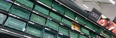 Zorro P Freely⌚️ banner