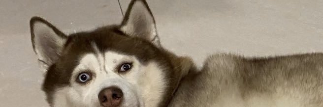 KRkeng's profile banner image