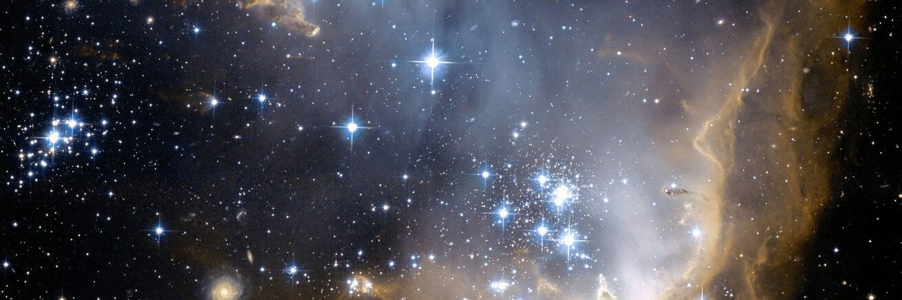 pani0n's profile banner image