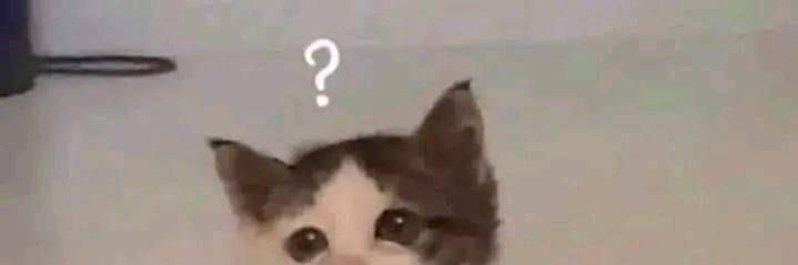 free luigi🇵🇸 banner