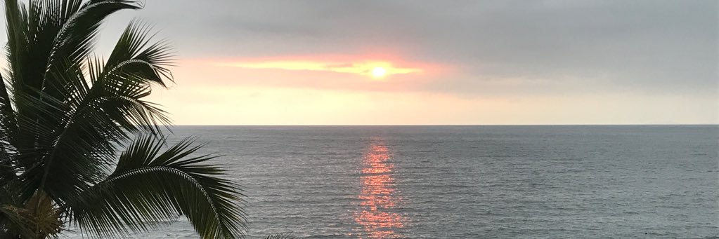 francisphyllis's profile banner image