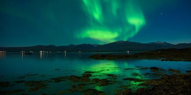 NorwayMeganizer's profile banner image