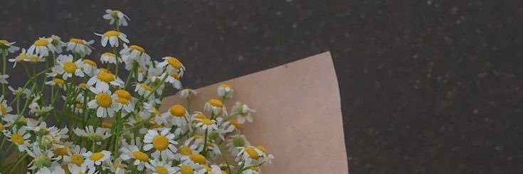 Mozaa_'s profile banner image