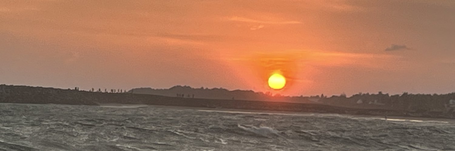 MaliniMusings banner