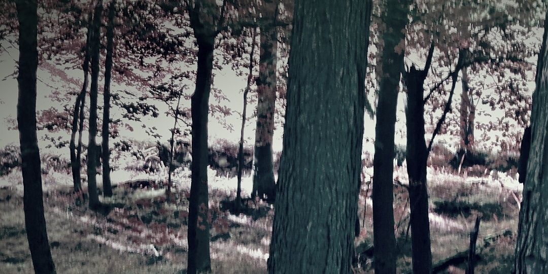 Spxob's profile banner image