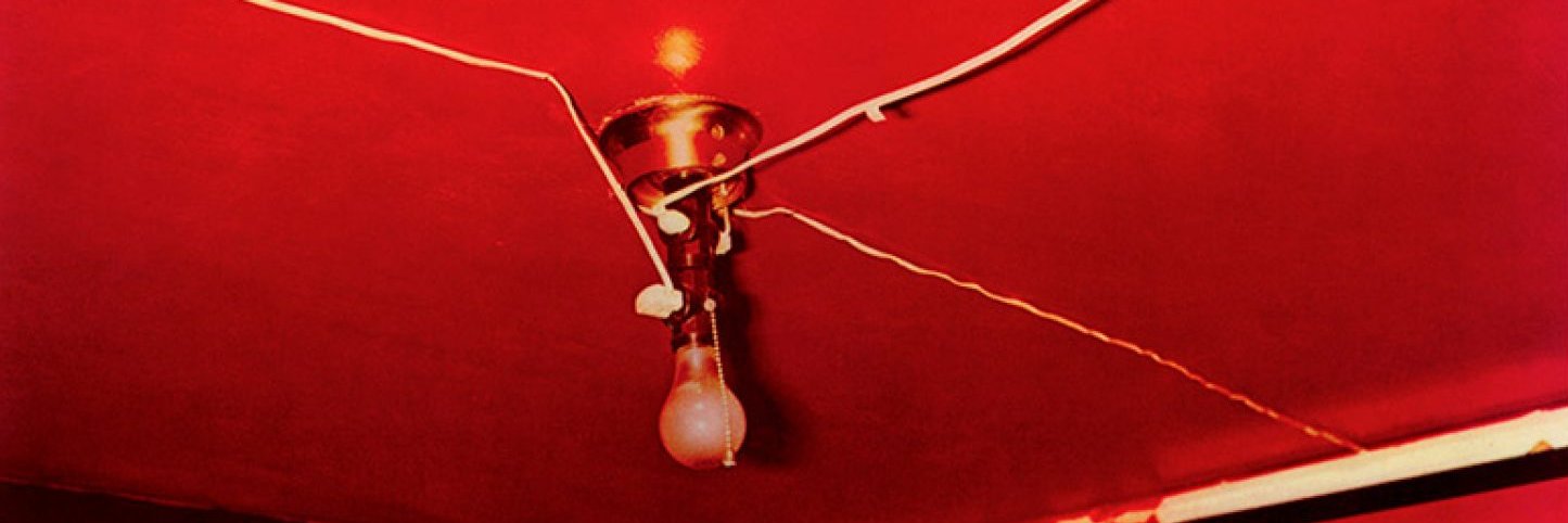 Paul Dallison banner