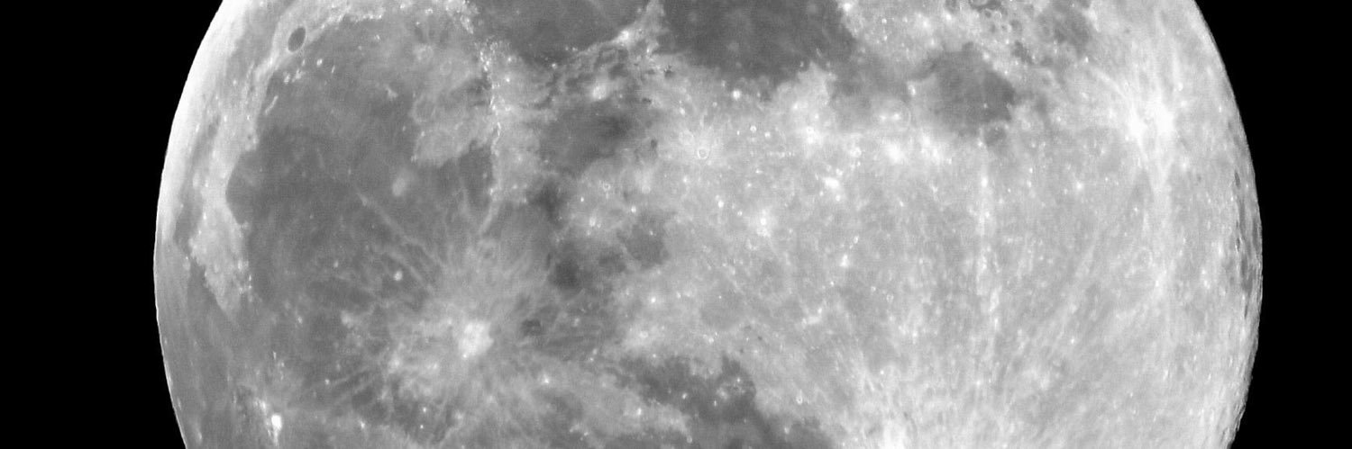 Annette Kelly banner