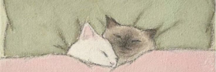 chIoefallon's profile banner image
