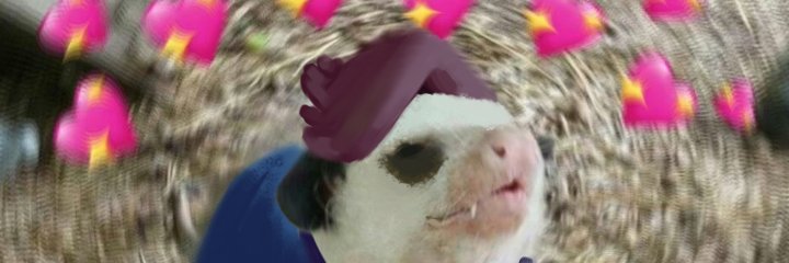 Beat_The_Possum's profile banner image
