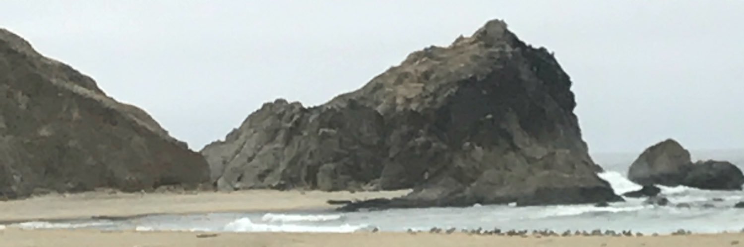 NDoyle043's profile banner image