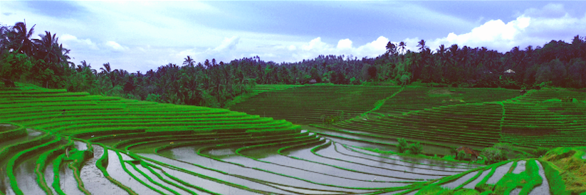 VisitBaliPromo's profile banner image